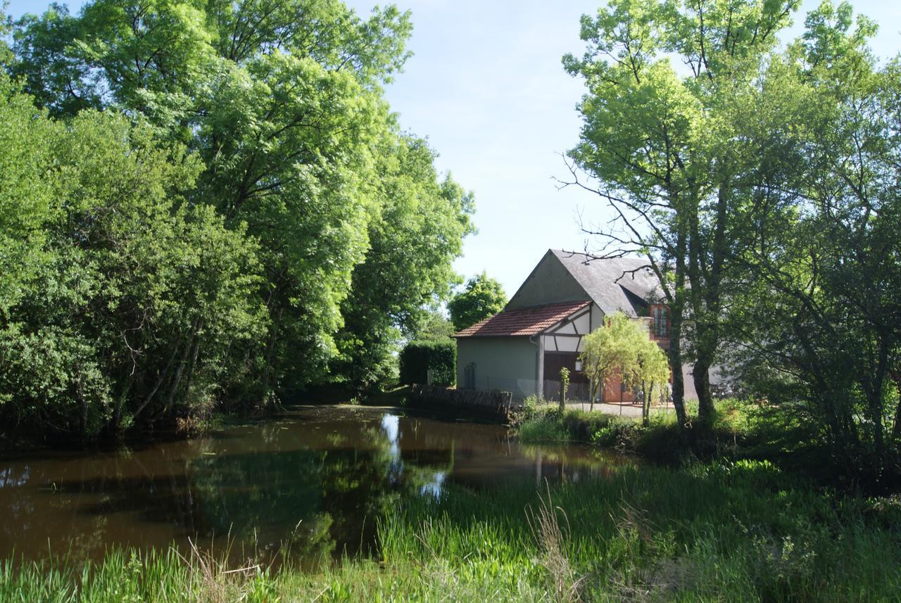 Bed and Breakfast Le Lac Aux Fees Henrichemont Zewnętrze zdjęcie